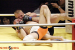 sakuraba5.jpg